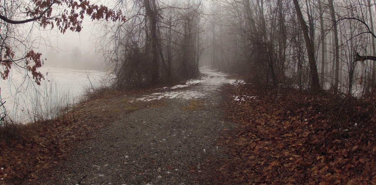Fog on the New Milford River Trail